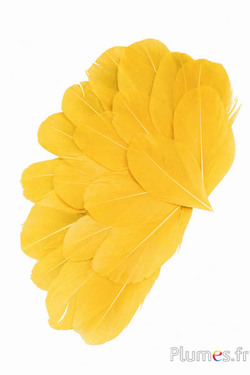 Petali in piume - 6-8 x 3-4 cm - topaze giallo
